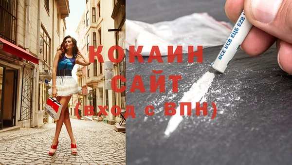 гидропоника Бородино