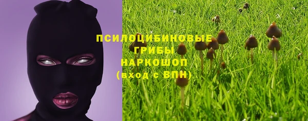 гидропоника Бородино