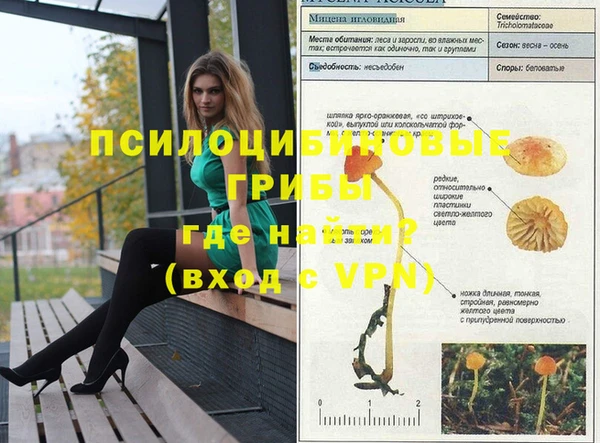 гидропоника Бородино