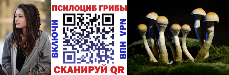 Псилоцибиновые грибы GOLDEN TEACHER Шимановск
